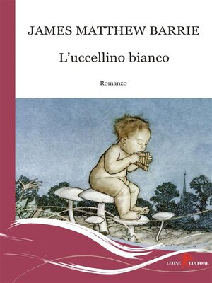 cover image of L'uccellino bianco